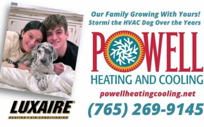 Powell Heating and Cooling: Stormi the HVAC Dog